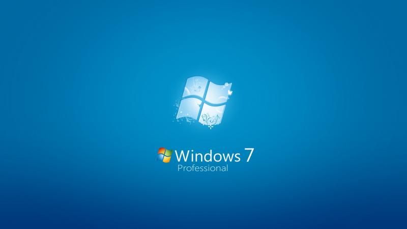 Windows 7 Professional