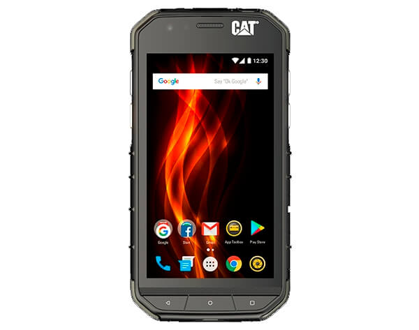 Cat S31