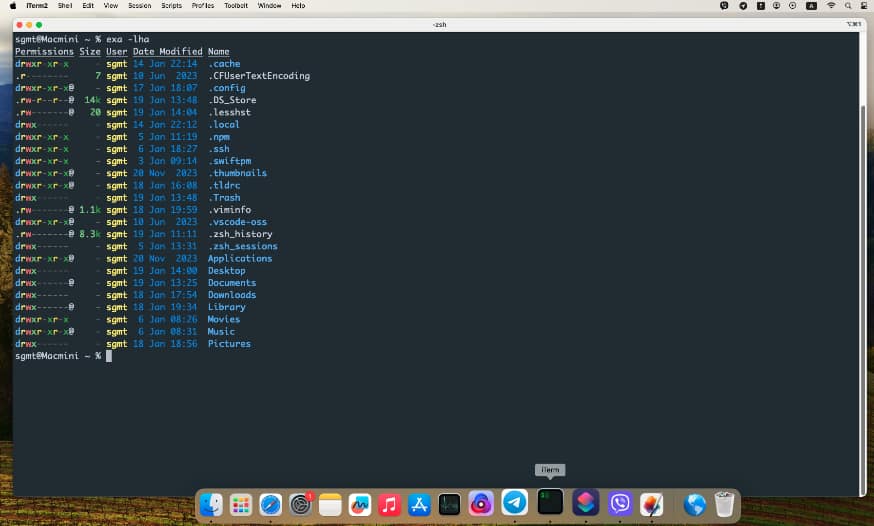 Пример вывода команда exa в терминале операционной системы MacOS