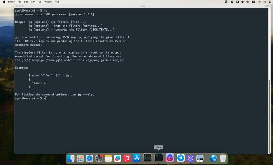 Команда jq в терминале операционной системы Mac OS