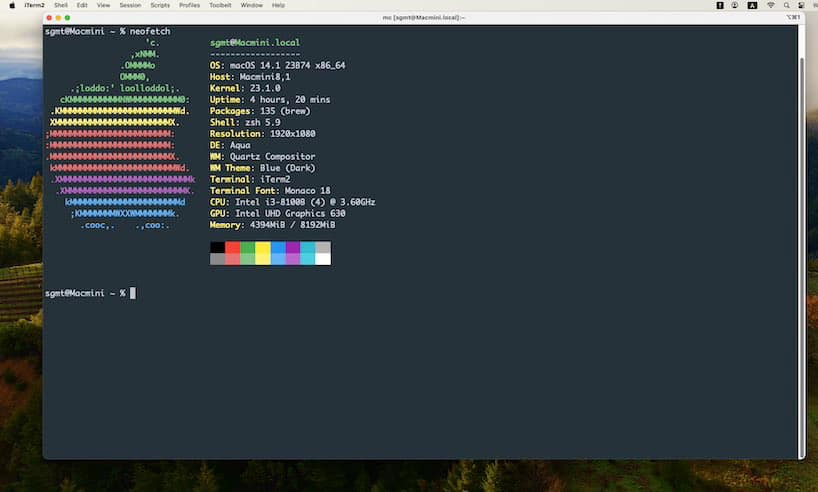Пример вывода команды neofetch в Mac OS