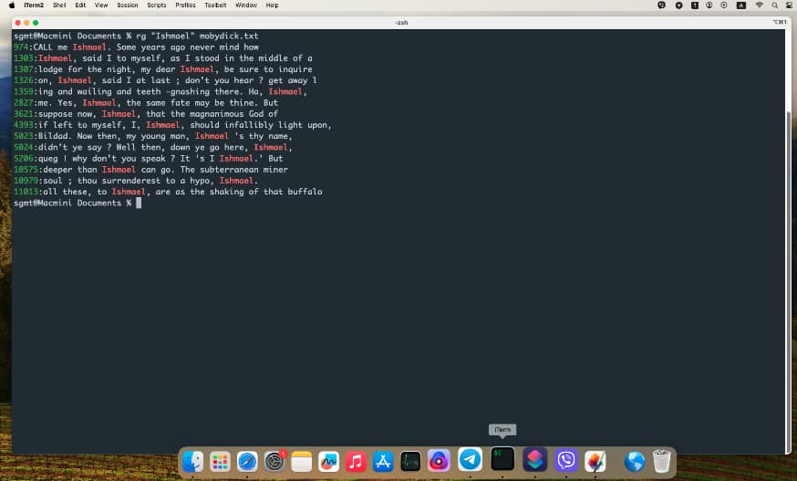 Пример поиска строки в файле командой rg в терминале Mac OS