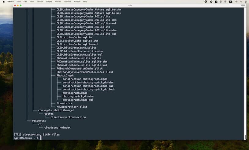 Пример вывода команды tree в терминале операционной системы Mac OS