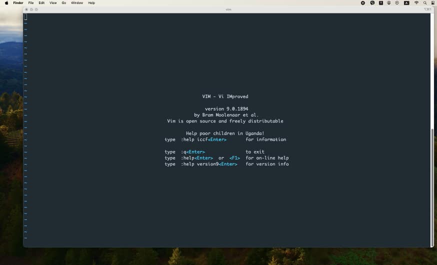Окно текстового редактора vim в терминале Mac OS
