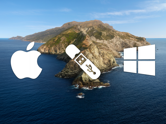 Загрузочный USB для Windows 10 на macOS