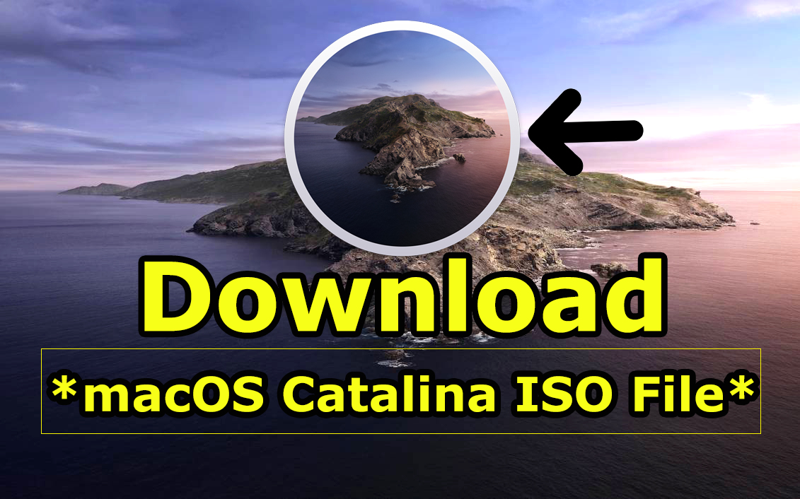 Как загрузить macOS 10.15 Catalina Beta ISO-файл