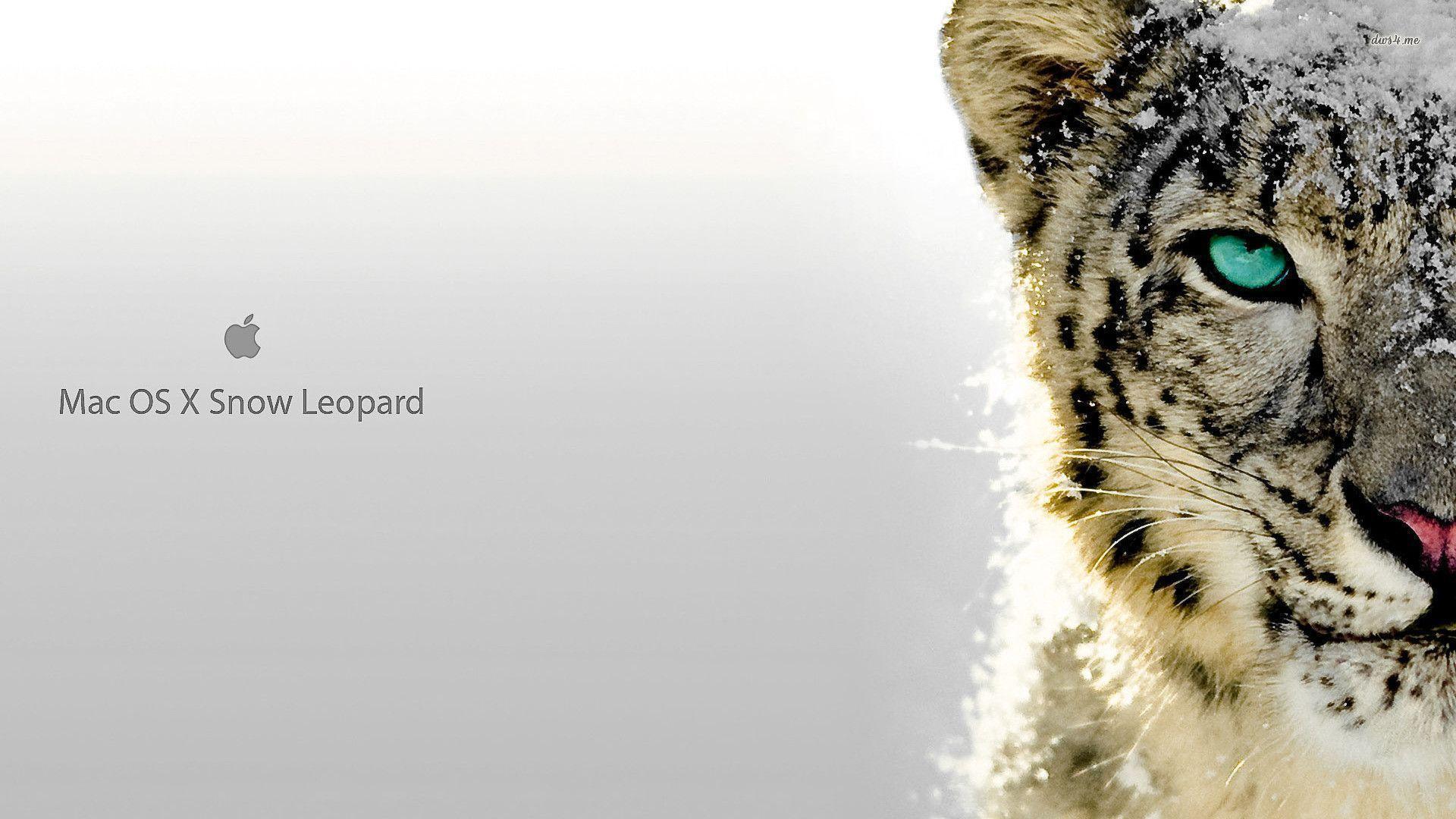 Скачать macOS Snow Leopard 10.6.3 DMG