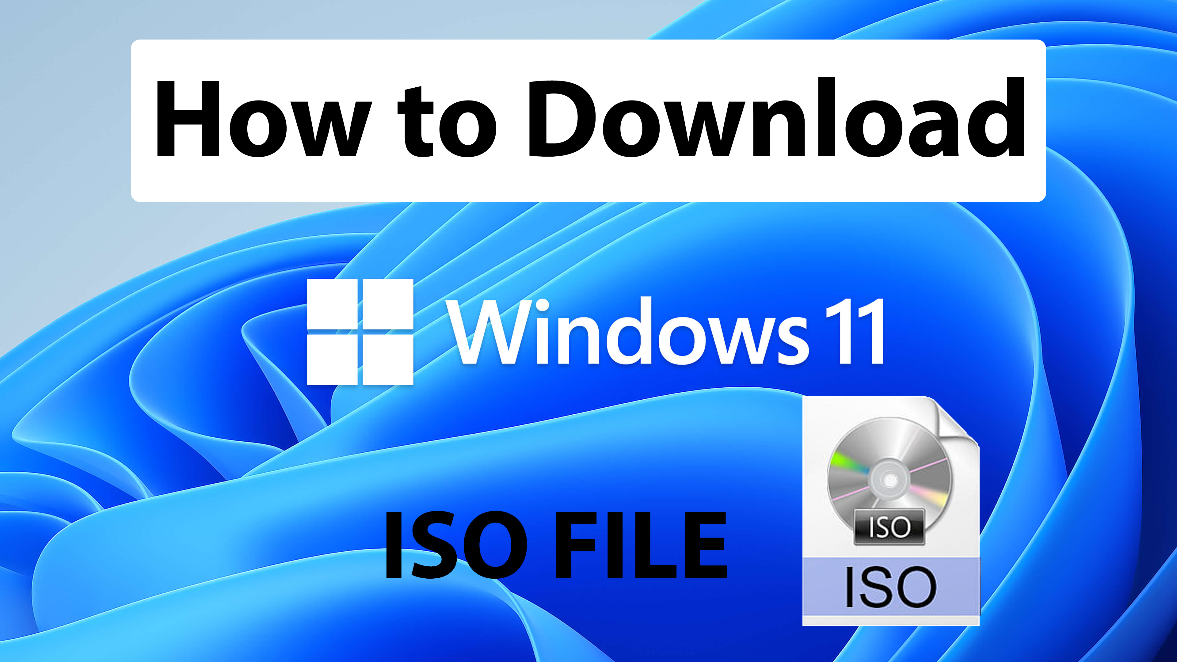 Как загрузить Windows 11 ISO