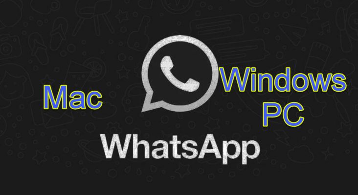 Как получить темный режим в Whatsapp Web на MacOS и ПК с Windows