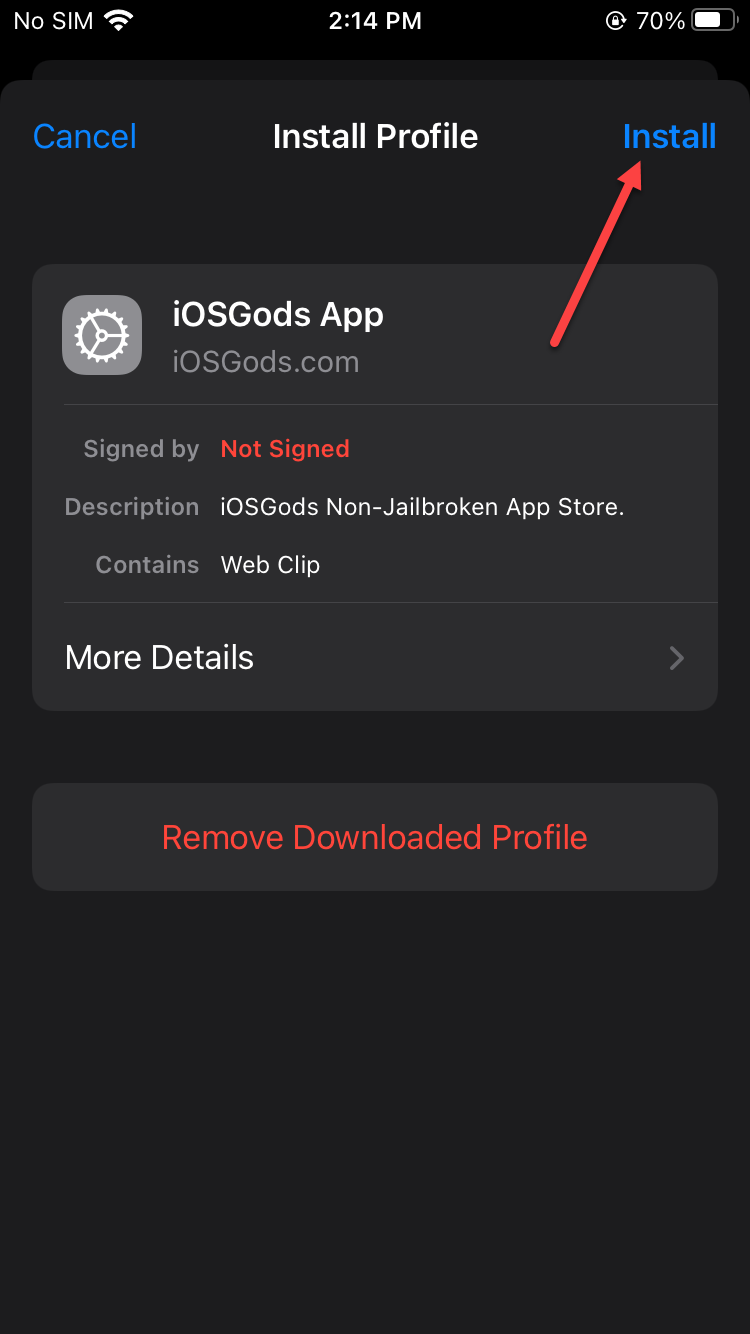 Установить iOSGods на iPhone