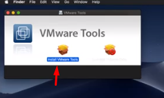 "Установите инструменты VMware на macOS Mojave