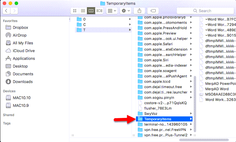Временные элементы в системе macOS