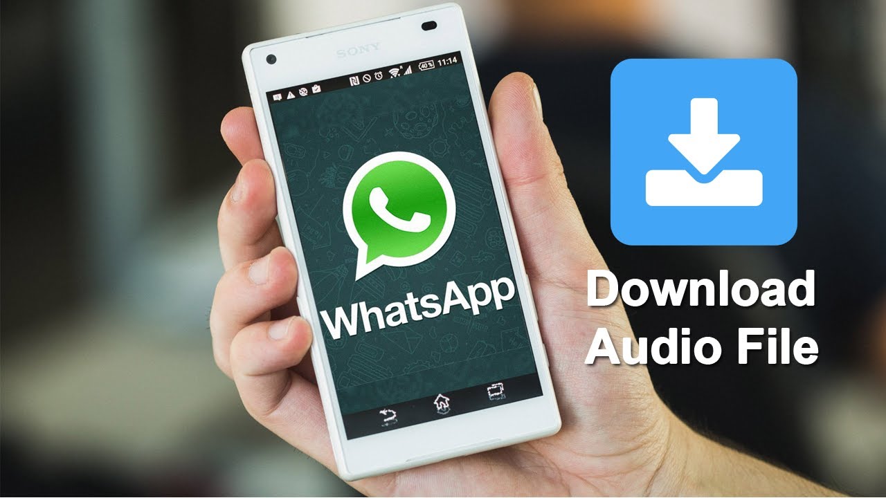 Как сохранить аудио из WhatsApp на Android