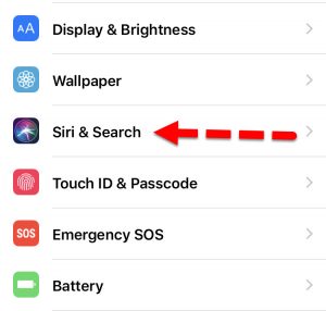 Отключить Siri в iOS и macOS